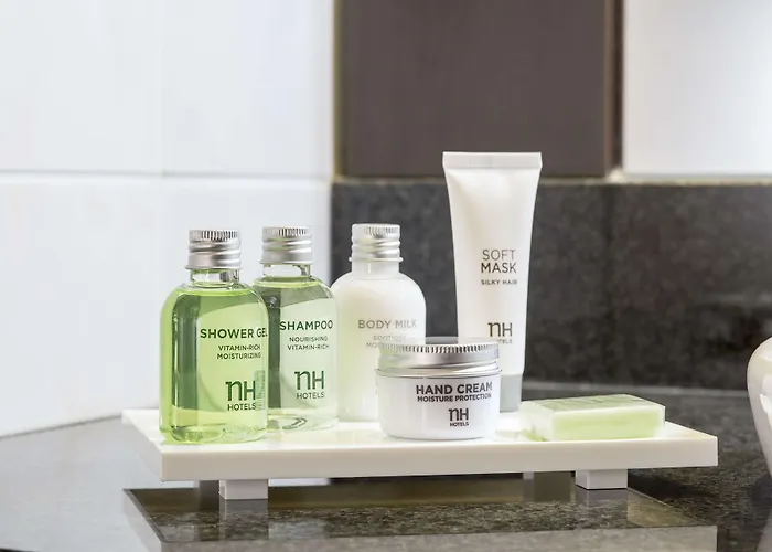 Hotel Nh 4*